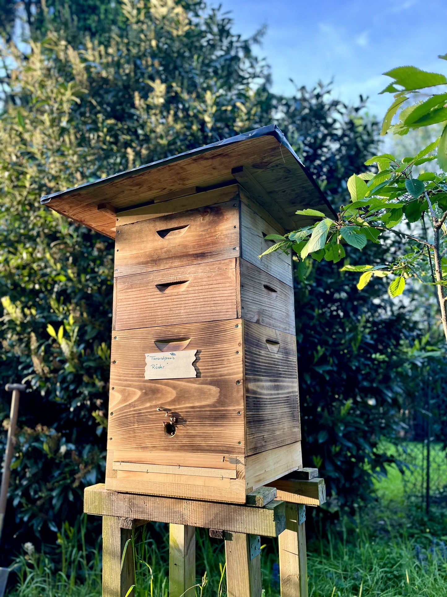 HoodyBee