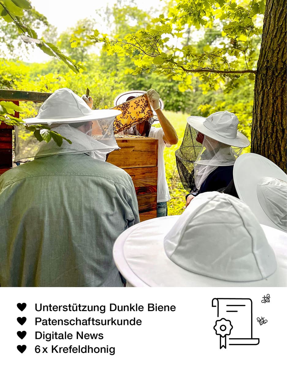 HoodyBee