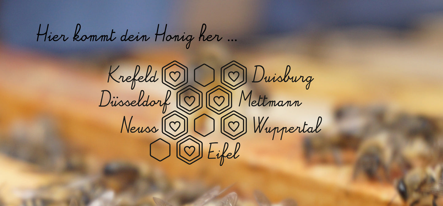 HoodyBee