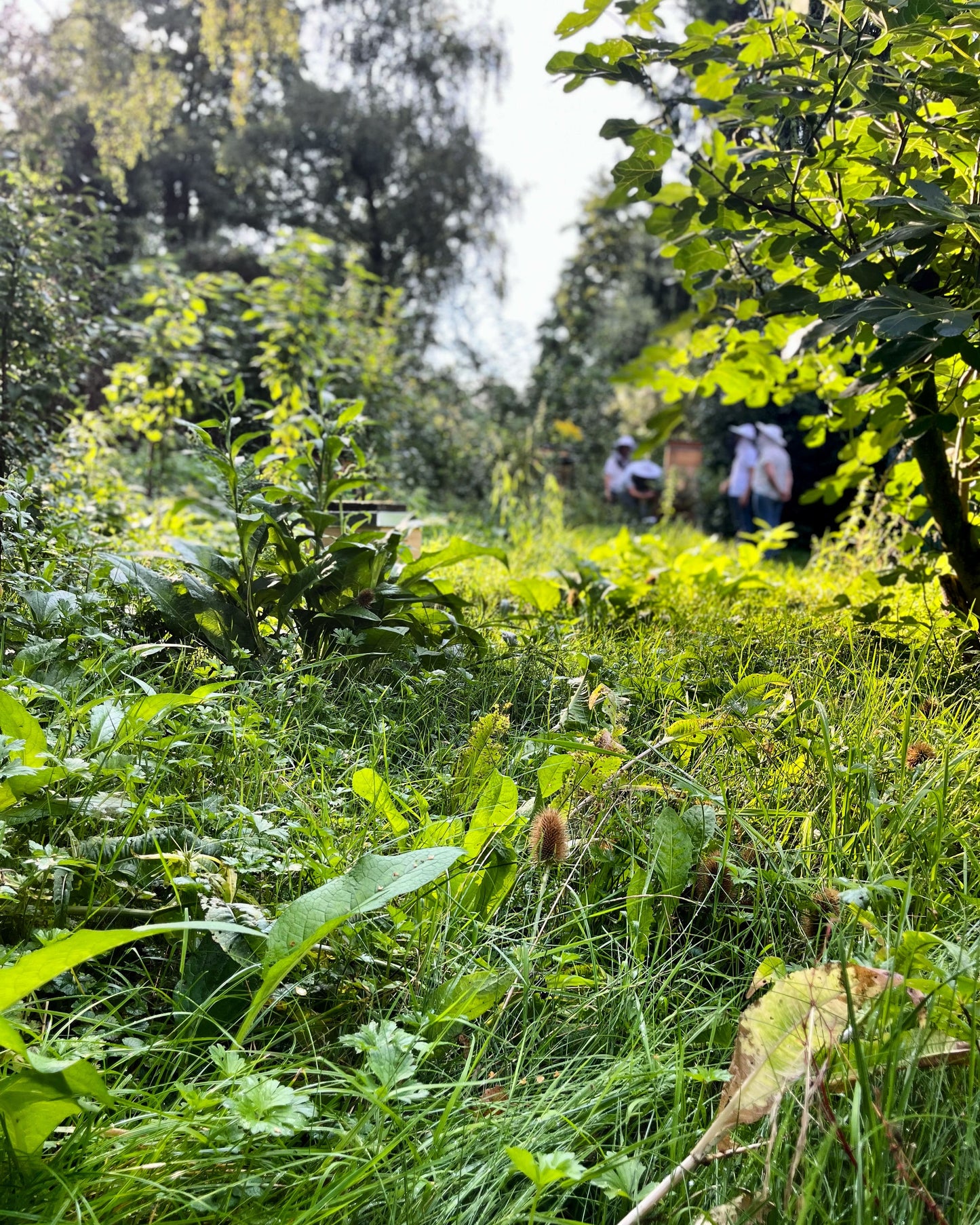 Naturerlebnis im Herbst & Winter – Die stille Jahreszeit entdecken