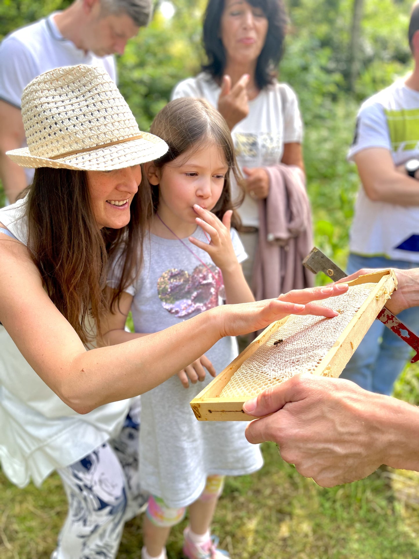 ist wabenhonig gesund?