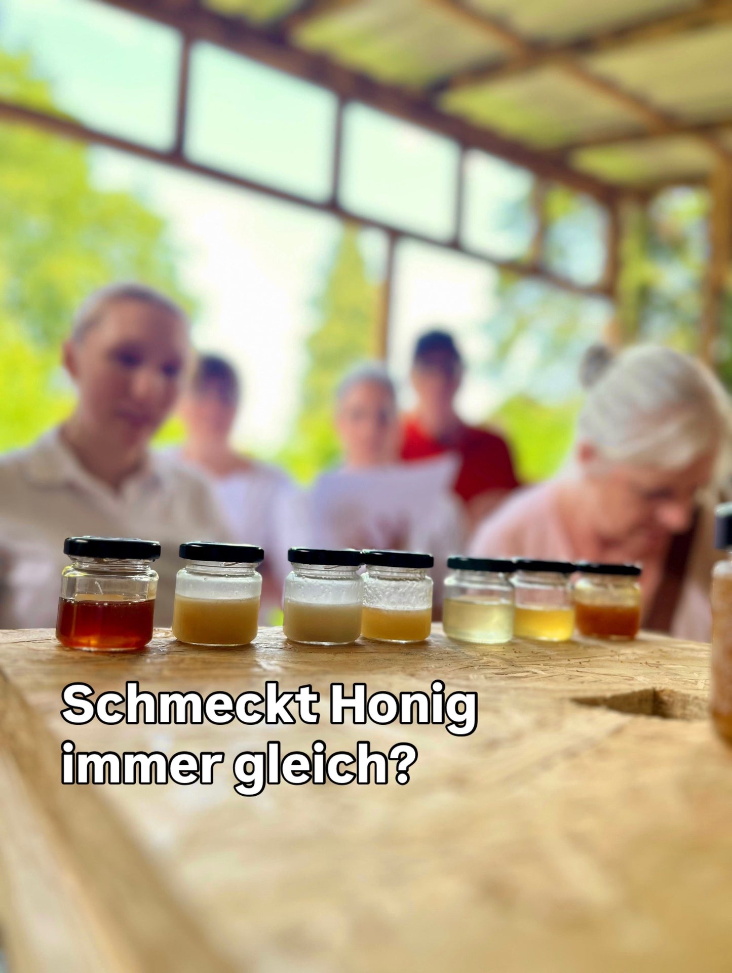 🐝 Honigverkostung – Schmeckt Honig wirklich immer gleich?