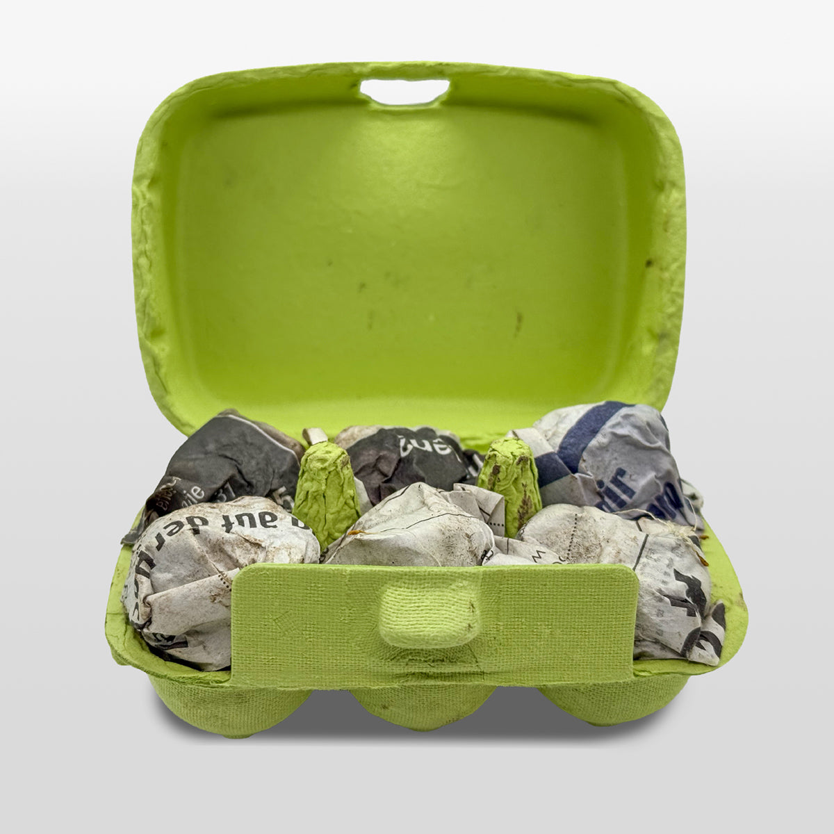 saatbomben blühfläche bienen